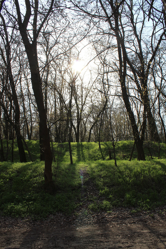 photo, road, nature, ukraine